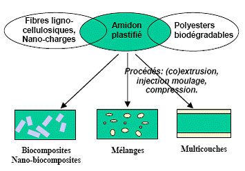 Systéme à base d'amidon plastifié